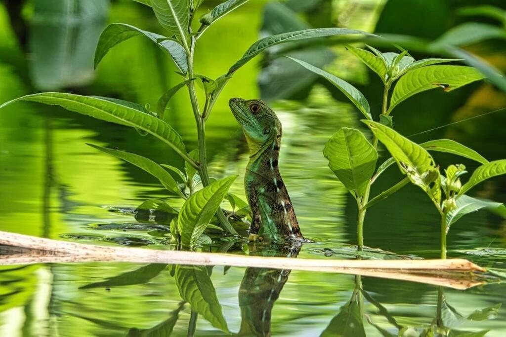 Into The Greens Madre de Dios 外观 照片