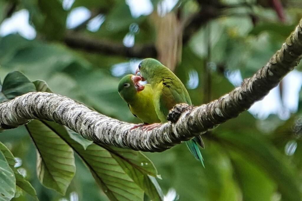 Into The Greens Madre de Dios 外观 照片