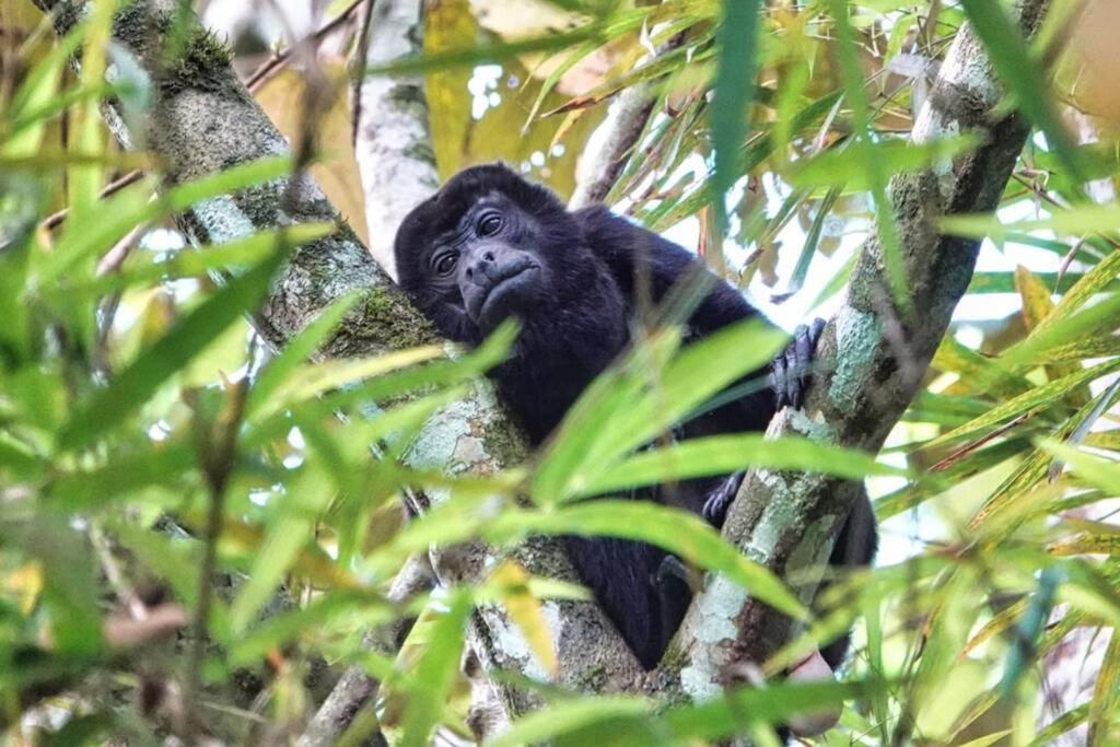 Into The Greens Madre de Dios 外观 照片