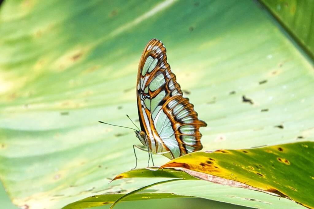 Into The Greens Madre de Dios 外观 照片