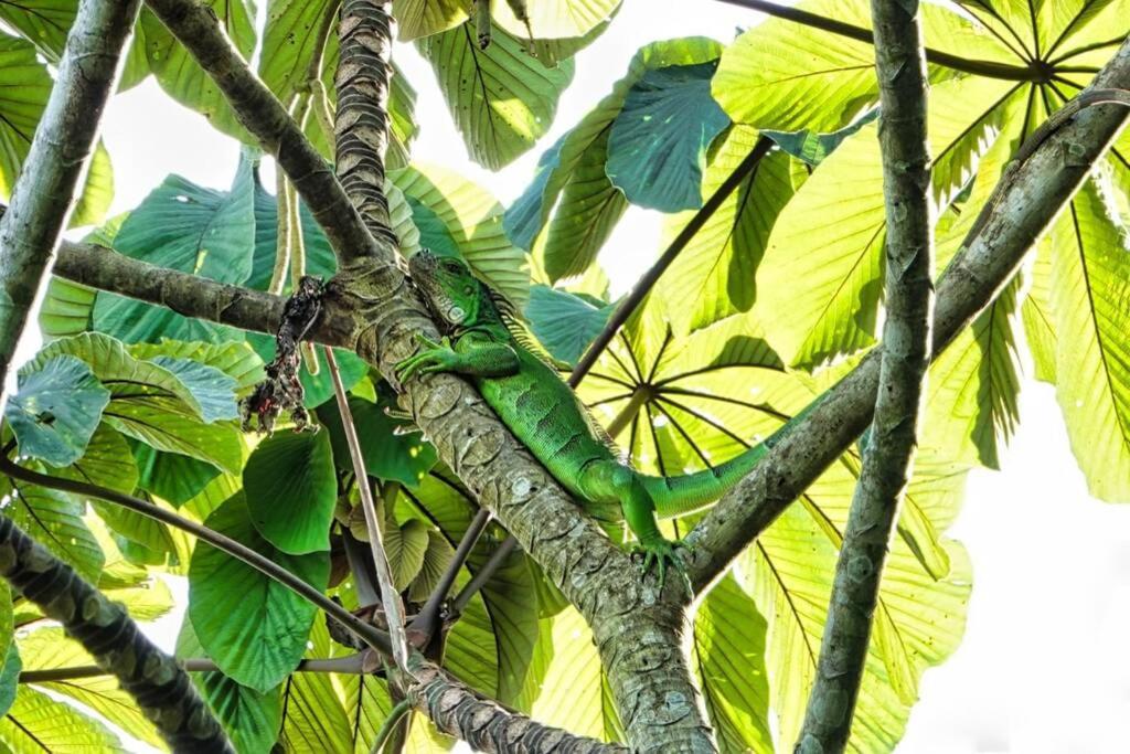 Into The Greens Madre de Dios 外观 照片