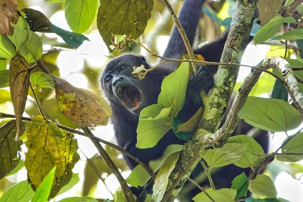 Into The Greens Madre de Dios 外观 照片