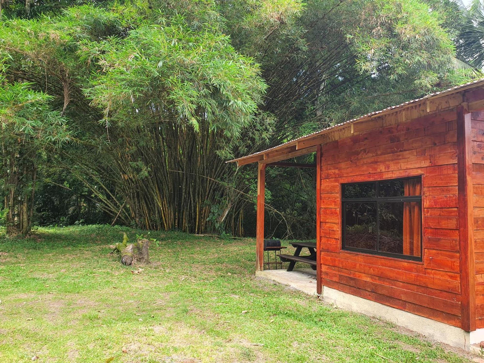 Into The Greens Madre de Dios 外观 照片