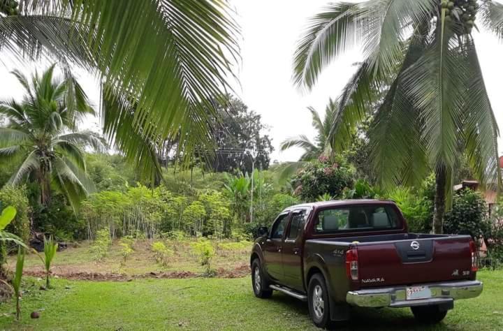 Into The Greens Madre de Dios 外观 照片