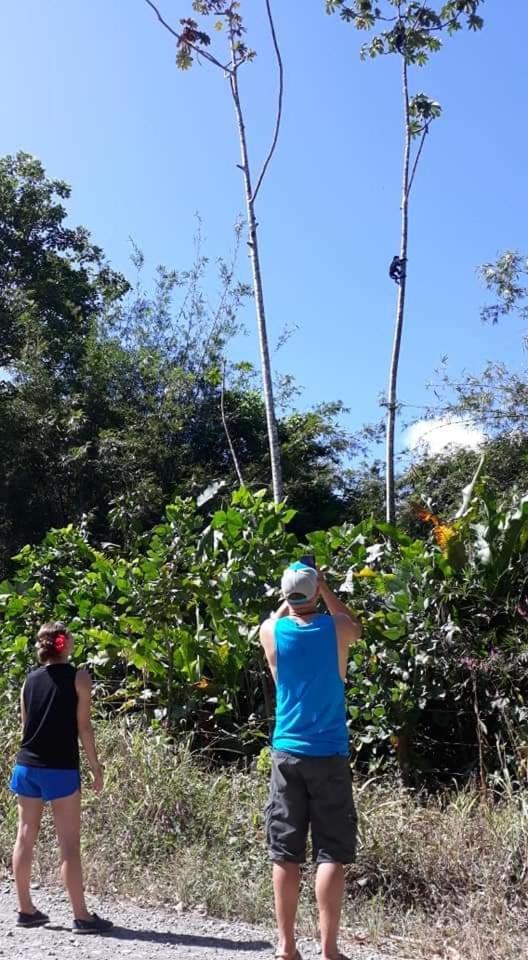 Into The Greens Madre de Dios 外观 照片